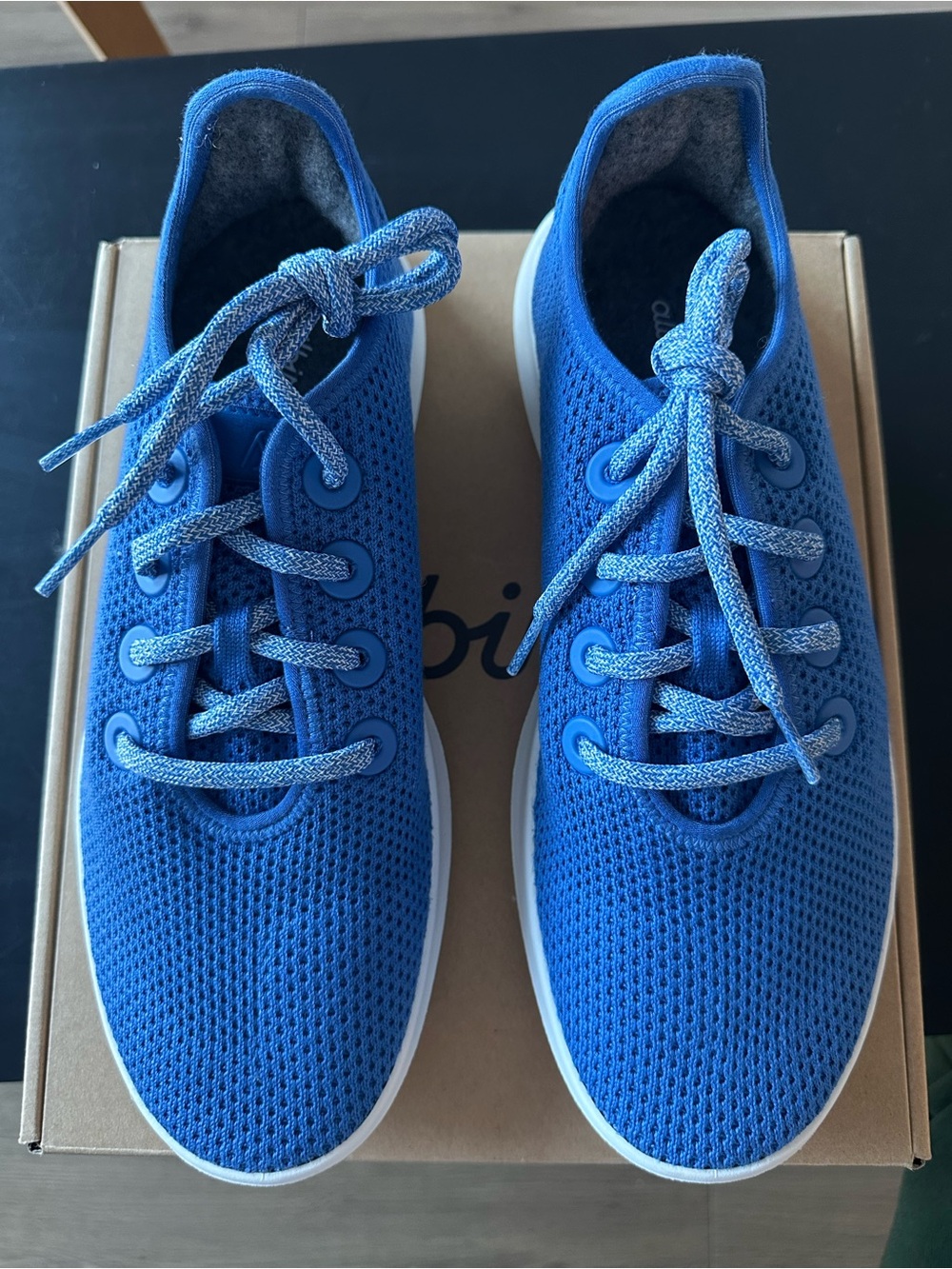 Allbirds tree runner kauri cobalt, blue, men’s 8